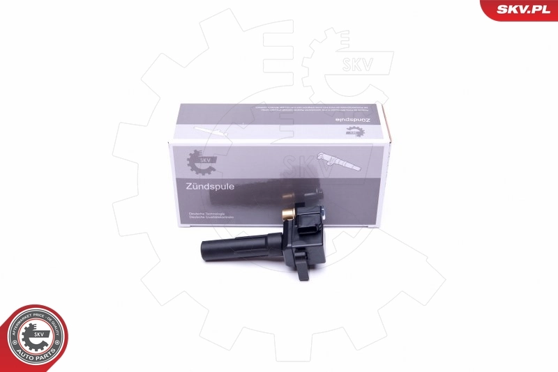 Ignition Coil